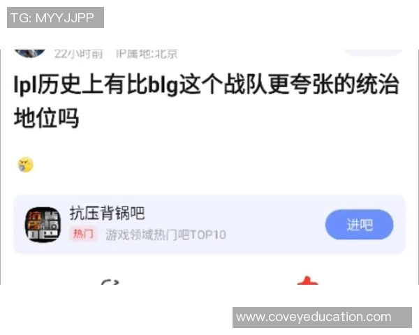 聚焦英雄联盟BLG战队技术分析与战术探讨的深度研究